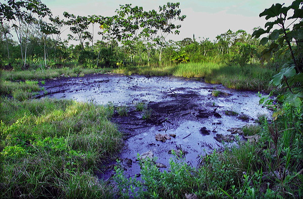 Oil damage in Ecuador's Amazon